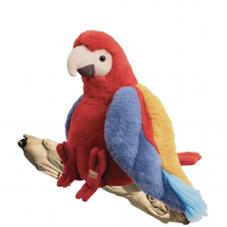 PAPAYA PARROT  30CM