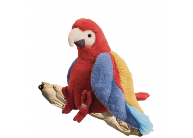 PAPAYA PARROT  30CM