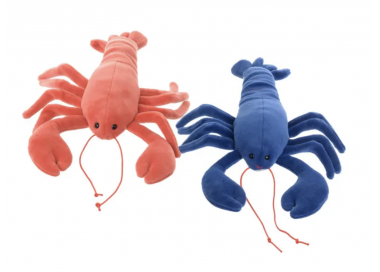 SNAPPY & SHELLY  18CM
