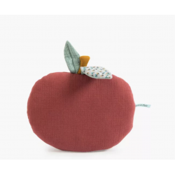 COUSSIN POMME APRE`S LA PLUIE