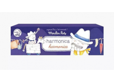 HARMONICA AUJOURD'HUI C'EST MERCREDI