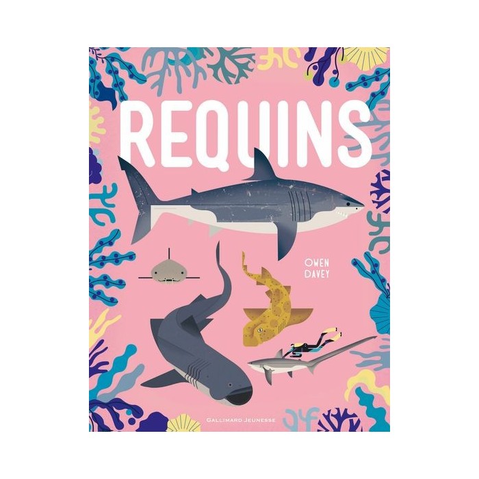 requins requins