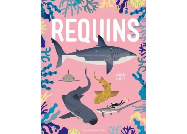 requins