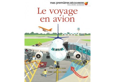 le voyage en avion