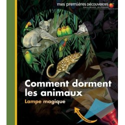 comment dorment les animaux