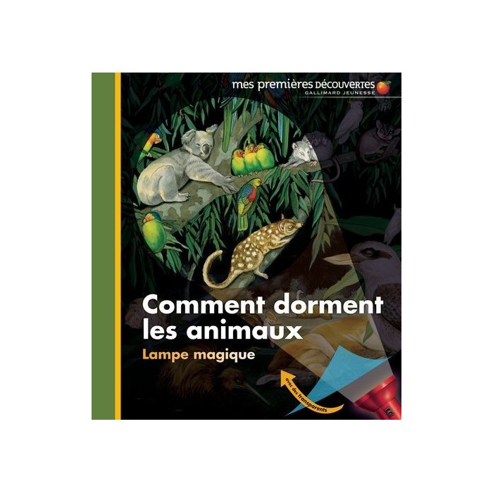 comment dorment les animaux comment dorment les animaux