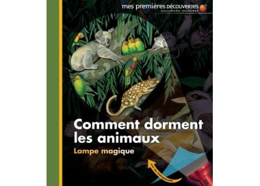 comment dorment les animaux