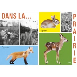 mes saisons