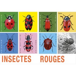 mes saisons