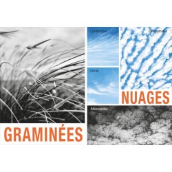 mes saisons