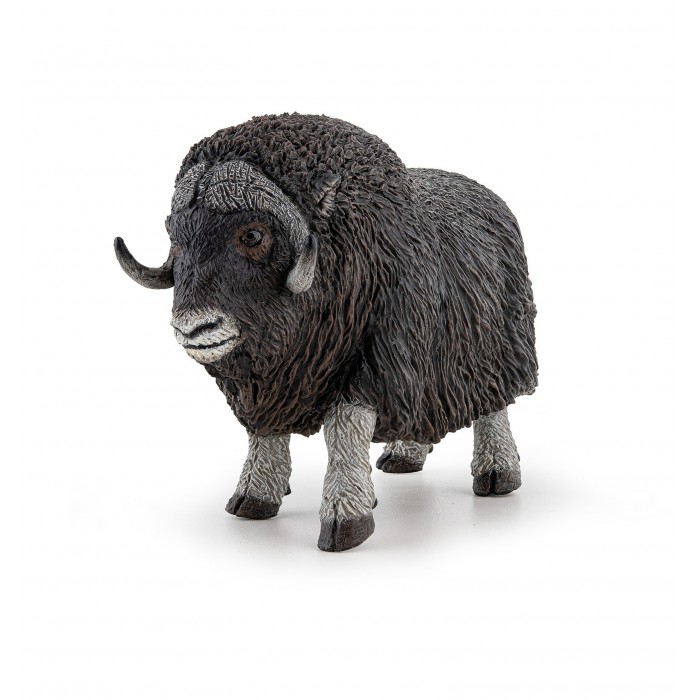 figurine bœuf musque papo figurine bœuf musque papo