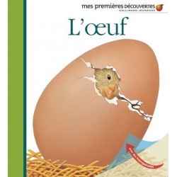 l'oeuf 1eres decouvertes