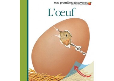 l'oeuf 1eres decouvertes