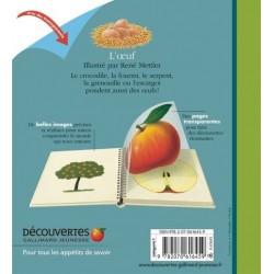 l'oeuf 1eres decouvertes