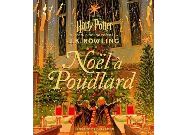 noel a poudlard