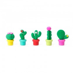 5 gommes cactus