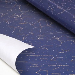 ROULEAU PAPIER CADEAU