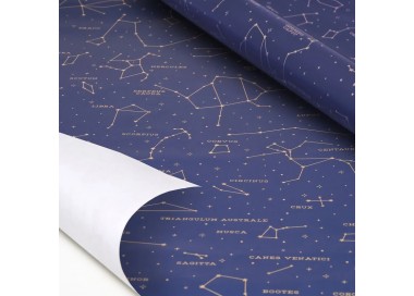 ROULEAU PAPIER CADEAU