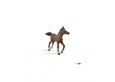 figurine poulain angloarabe papo