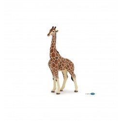 figurine girafe male papo