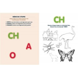 Je sais lire ! Le cahier d'activités, de Céline Alvarez | Les Arènes