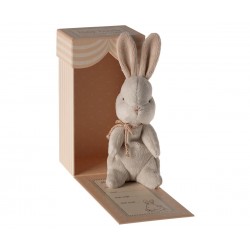 MON PREMIER DOUDOU EN BOITE MAILEG