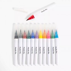 12 gros feutres pinceaux schmouks