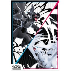 pokémon coffret poster foudre noire flamme blanche