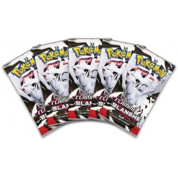 pokémon portfolio A4 +5 boosters flamme blanche