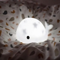 projecteur moby rechargeable