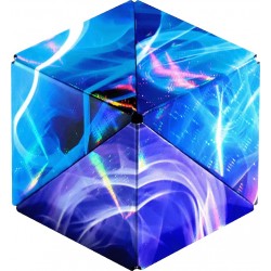 shashibo holographique