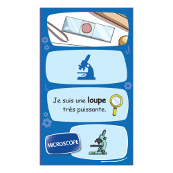 ENIGMES JUNIOR  GRAINES DE SCIENCES
