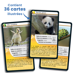 DEFIS NATURE  BEBES ANIMAUX