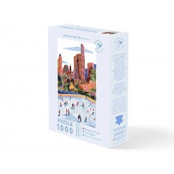 PUZZLE SKATING IN NYC