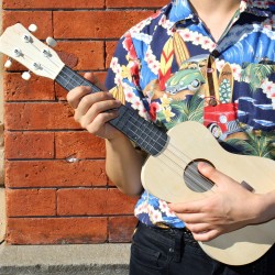 MAKE YOUR OWN UKULELE