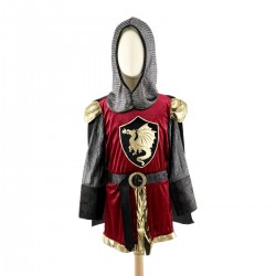 DEGUISEMENT CHEVALIER TRISTAN