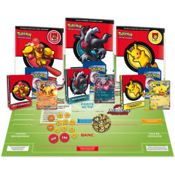 pokémon académie de combat v3