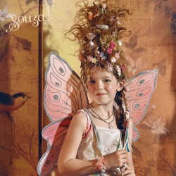 DEGUISEMENT LOUANNE, ROBE ET AILES