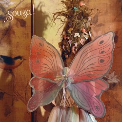 DEGUISEMENT LOUANNE, ROBE ET AILES