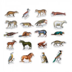 Magnets zoologiques de Buffon - Muséum national d'Histoire naturelle