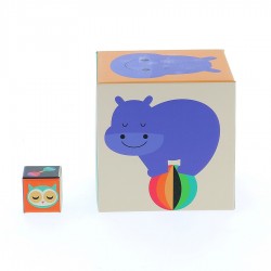 Cubes gigognes en carton, Arc-en-ciel - Andy Westface | Vilac